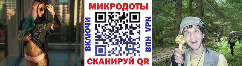 Псилоцибиновые грибы прущие грибы  Бирюсинск 